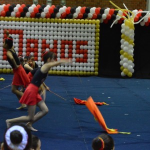 FESTIVAL DE GINÁSTICA 2017