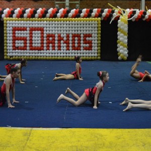 FESTIVAL DE GINÁSTICA 2017