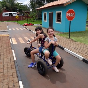 FAZENDO FAZENDA 2º ANO -  2018