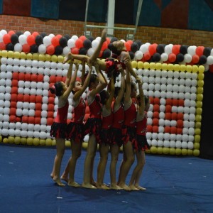 FESTIVAL DE GINÁSTICA 2017