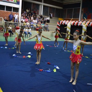 FESTIVAL DE GINÁSTICA 2017