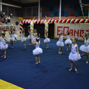 FESTIVAL DE GINÁSTICA 2017