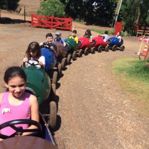 FAZENDO FAZENDA 5º ANO -  2018