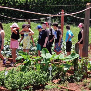 CSI - PASSEIO FAZENDO FAZENDA 2022