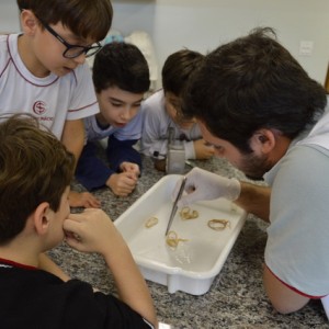 AULA NO LABORATÓRIO SOBRE ANIMAIS VERTEBRADOS E INVERTEBRADOS