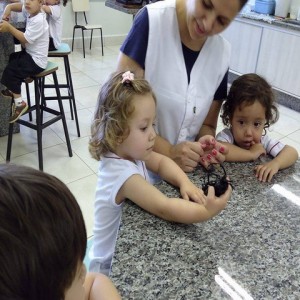 VISITA AO LABORATÓRIO: EXPLORANDO BICHINHOS DE JARDIM