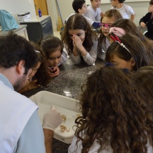 AULA NO LABORATÓRIO SOBRE ANIMAIS VERTEBRADOS E INVERTEBRADOS