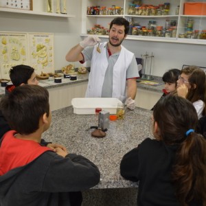 AULA NO LABORATÓRIO SOBRE ANIMAIS VERTEBRADOS E INVERTEBRADOS