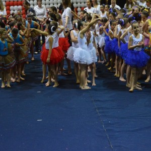 FESTIVAL DE GINÁSTICA 2017