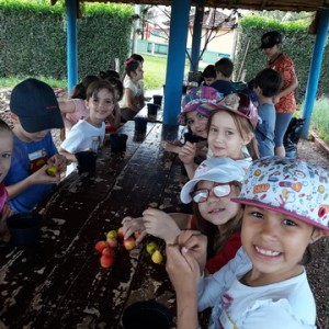 FAZENDO FAZENDA 2º ANO -  2018