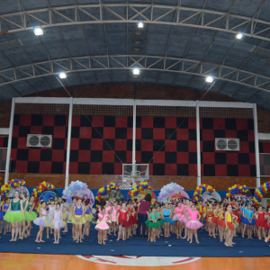 13° Festival de Ginástica Geral - Colégio Santo Inácio