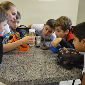 AULA NO LABORATÓRIO SOBRE ANIMAIS VERTEBRADOS E INVERTEBRADOS