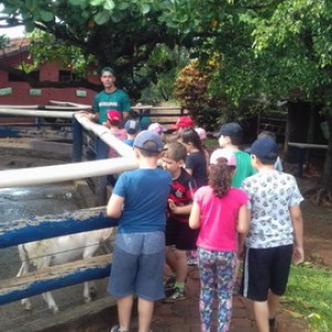 FAZENDO FAZENDA 2º ANO -  2018