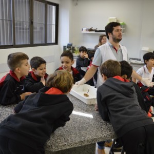 AULA NO LABORATÓRIO SOBRE ANIMAIS VERTEBRADOS E INVERTEBRADOS