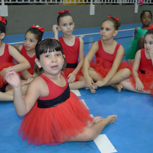 13° Festival de Ginástica Geral - Colégio Santo Inácio