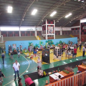 V MOSTRA DE TRABALHOS DA EDUCAÇÃO INFANTIL