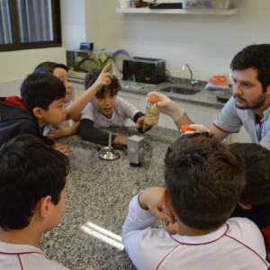 AULA NO LABORATÓRIO SOBRE ANIMAIS VERTEBRADOS E INVERTEBRADOS