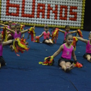 FESTIVAL DE GINÁSTICA 2017