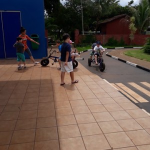 FAZENDO FAZENDA 2º ANO -  2018