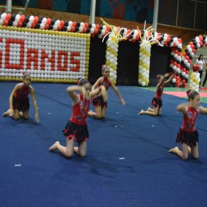 FESTIVAL DE GINÁSTICA 2017