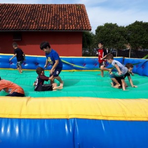 FAZENDO FAZENDA 2º ANO -  2018