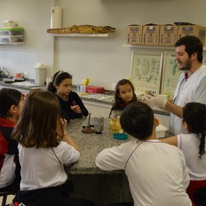 AULA NO LABORATÓRIO SOBRE ANIMAIS VERTEBRADOS E INVERTEBRADOS