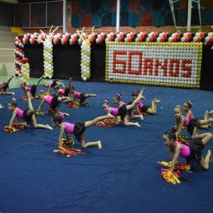 FESTIVAL DE GINÁSTICA 2017