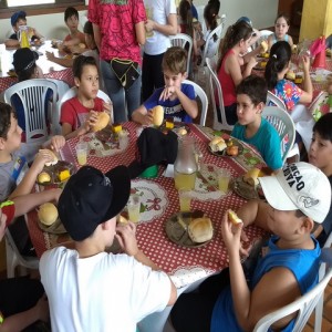 FAZENDO FAZENDA 2017