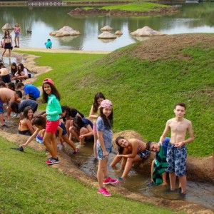 VIAGEM DE ESTUDOS AO SÍTIO DO CARROÇÃO 2018