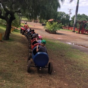 FAZENDO FAZENDA 3º ANO -  2018