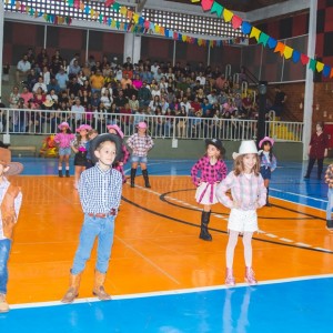 FESTA JUNINA - É O ARRAIÁ DO SANTÃO 2024