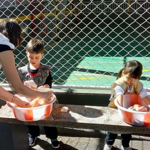 PROJETO HIGIENE E ALIMENTAÇÃO