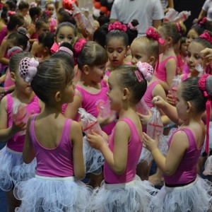 FESTIVAL DE GINÁSTICA 2017