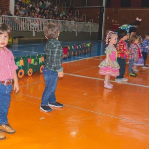 FESTA JUNINA - É O ARRAIÁ DO SANTÃO 2024