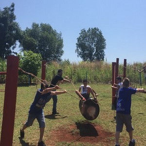 FAZENDO FAZENDA 2017