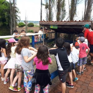 FAZENDO FAZENDA 2º ANO -  2018