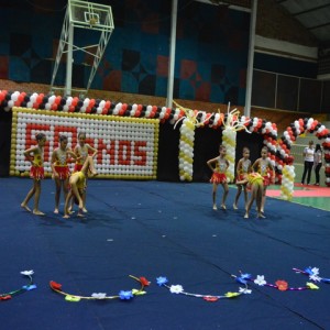 FESTIVAL DE GINÁSTICA 2017