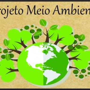 PROJETO MEIO AMBIENTE