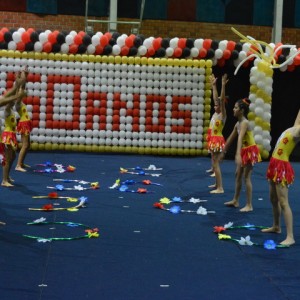 FESTIVAL DE GINÁSTICA 2017