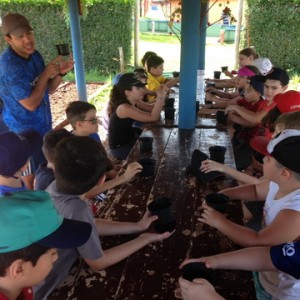 FAZENDO FAZENDA 4º ANO -  2018