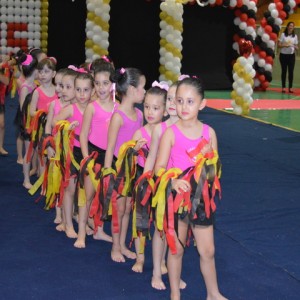 FESTIVAL DE GINÁSTICA 2017