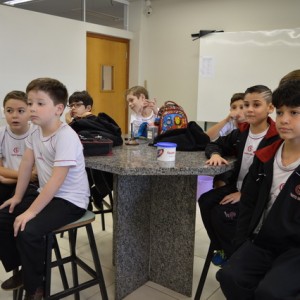 AULA NO LABORATÓRIO SOBRE ANIMAIS VERTEBRADOS E INVERTEBRADOS