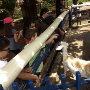 FAZENDO FAZENDA 2º ANO -  2018