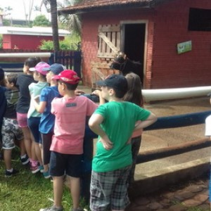 FAZENDO FAZENDA 2º ANO -  2018