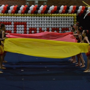 FESTIVAL DE GINÁSTICA 2017