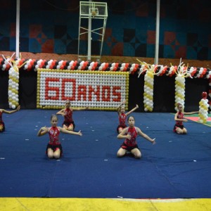 FESTIVAL DE GINÁSTICA 2017