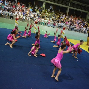 FESTIVAL DE GINÁSTICA 2017