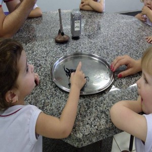 VISITA AO LABORATÓRIO: EXPLORANDO BICHINHOS DE JARDIM