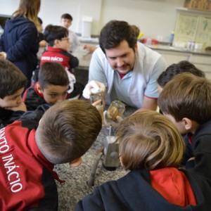 AULA NO LABORATÓRIO SOBRE ANIMAIS VERTEBRADOS E INVERTEBRADOS