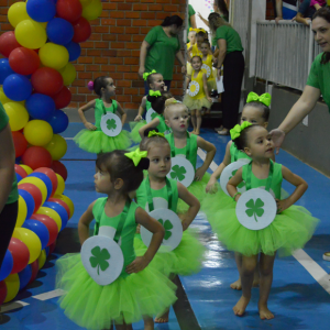 13° Festival de Ginástica Geral - Colégio Santo Inácio